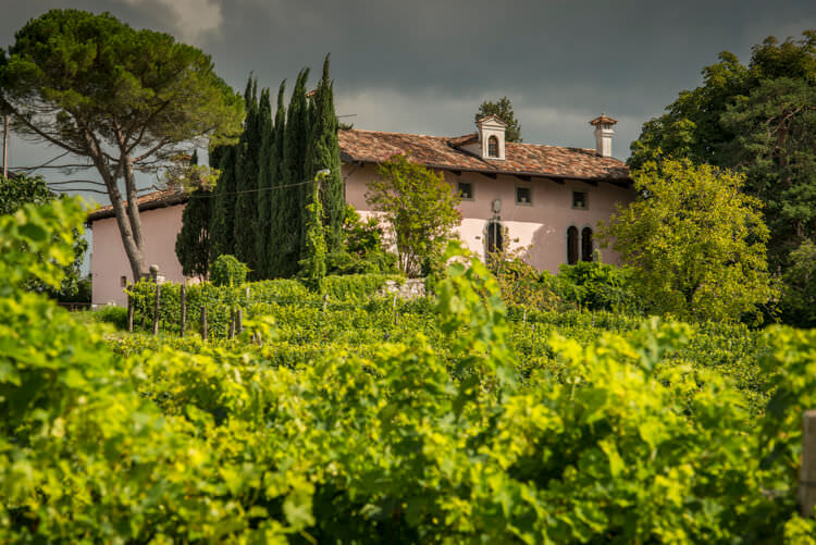 5.Rodaro-Paolo-Winery_Villa-Romano-Rodaro